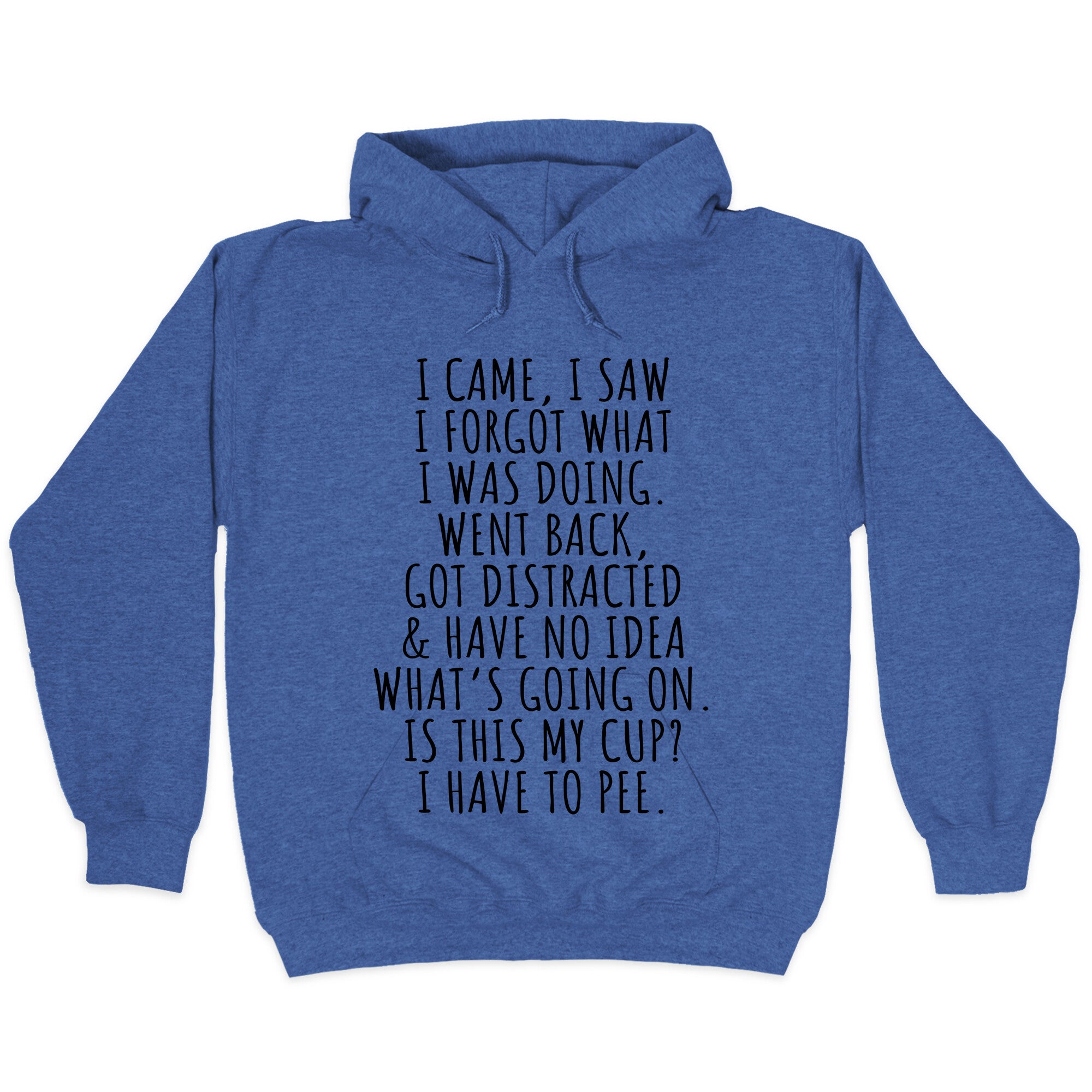 I Came I Saw I Forgot What I Was Doing Hoodie